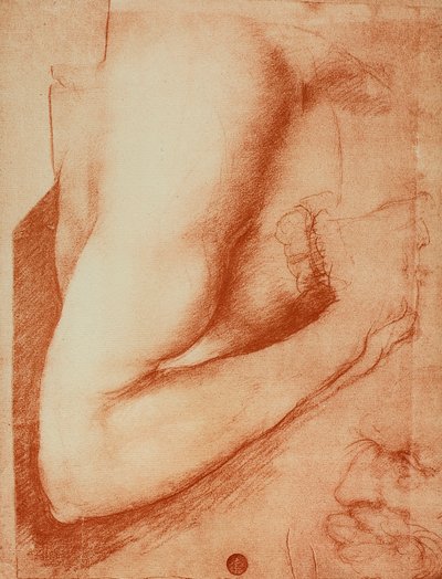 Study of an Arm by Leonardo da Vinci